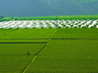 有机产品质量管理手册【0706】